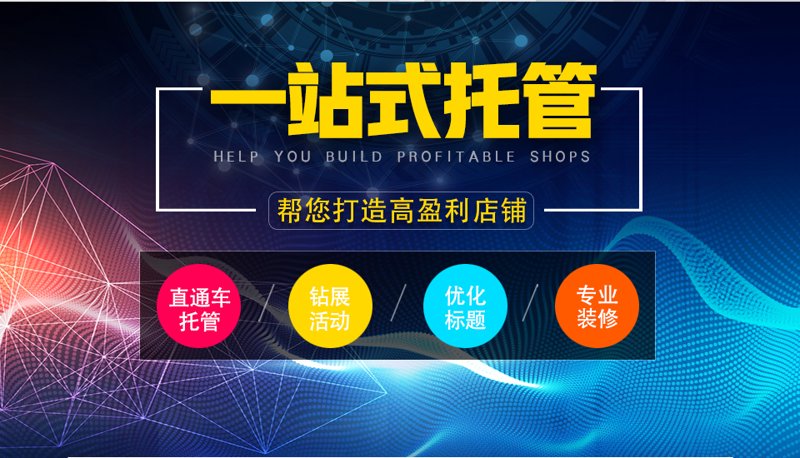 站群系统：构建多元化的网站生态